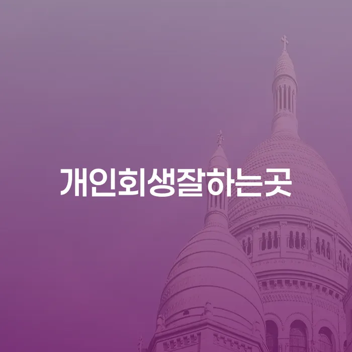 도박빚개인회생 개인회생으로 방법 잘 하는 사무소