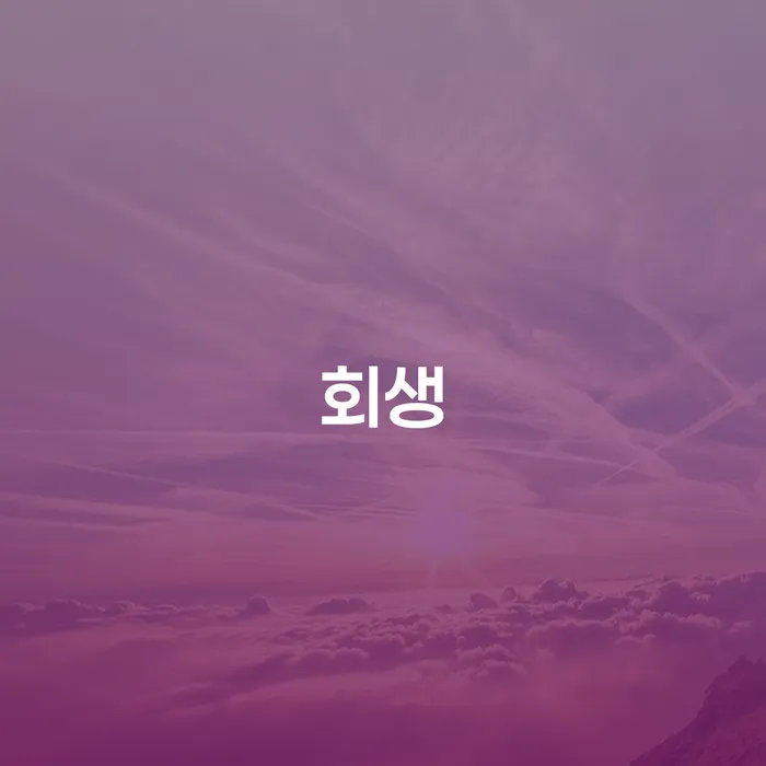 고창군 카드값대출 연체 시 개인회생으로 현명하게 있을까요?