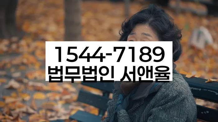 개인회생 소득 대비 채무 조정